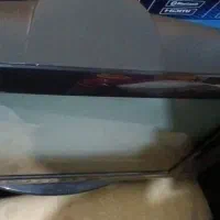 تلویزیون ال جی|تلویزیون و پروژکتور|گرگان, |دیوار