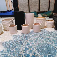 گلدون ۱۲ عدد باهم فروشی