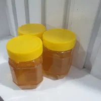 عسل بهاره و اصل از کوه های اسفراین