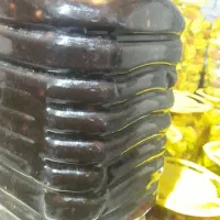 پخش خیارشوروترشیجات|عمده‌فروشی|اهواز, سلطانمنش|دیوار