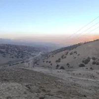 گواهینامه رانندگی مفقود شده