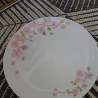 آرکوپال