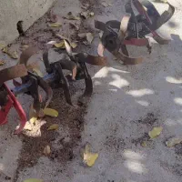 تریلر هفت اسب مارک شایلری|ماشین‌آلات صنعتی|سپیدان, |دیوار