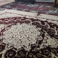فرش|فرش|قم, نخودی|دیوار