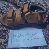 کفش بچگانه