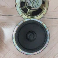 ۲ جفت باند فابریکی پژو