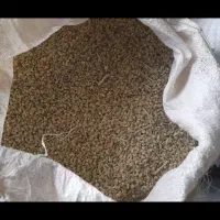 بذر اسپرس(گلنگار)