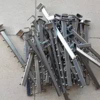 رگال قوطی خور