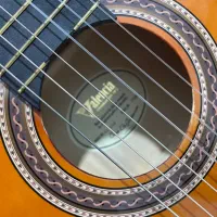 گیتار والنسیا|گیتار، بیس، امپلیفایر|تهران, وردآورد|دیوار