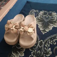 دمپایی لژدار