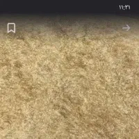 کاه جو و جو شش پر تمیز