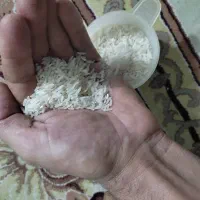 برنج فجرسوزنی|خوردنی و آشامیدنی|رامیان, |دیوار