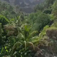 زمین سند دار در ویس
