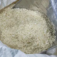 برنج محلی کامفیروزی و هندی و پاکستانی به شرط پخت|خوردنی و آشامیدنی|شیراز, شیخ روزبهان|دیوار