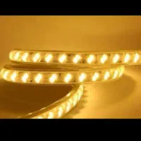 ریسه نور مخفی شلنگی