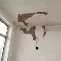 لکهگیری گچکاری وکار کلی گچکاری در کل مشهد|خدمات پیشه و مهارت|مشهد, طلاب|دیوار