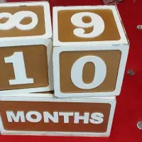 ماهگرد|اسباب و اثاث بچه|بروجرد, |دیوار