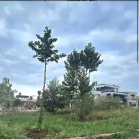 203مترزمین-کلبه-ویو-بی-نظیر