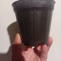 گلدان پلاستیکی (سیاه) 10سانتی