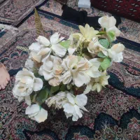 گلهاتمیزوسالم|گل مصنوعی|سبزوار, زینبیه|دیوار