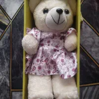 خرس لباس دار