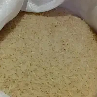 برنج فجر روغنی سوزنی مینودشت|عمده‌فروشی|گنبد کاووس, |دیوار