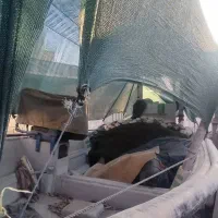 موتور قایق 200صیادی کامل با جل|قایق و سایر وسایل نقلیه|میناب, |دیوار