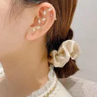 ایرکاف برگی