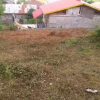 زمین مسکونی۳۶۶متر جنگلی سند تک برگ