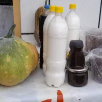 خرمای خوزستان و محلیجات