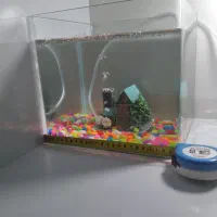 اکواریوم همراه باماهی|ماهی|ابهر, |دیوار