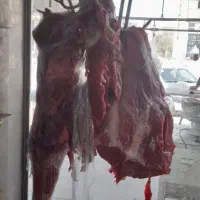 قصاب وسلاخ ماهر