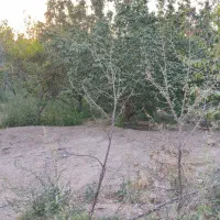 فروش باغ ویلایی