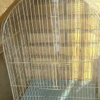 قفس و لانه پرنده|لوازم جانبی حیوانات|اهواز, فاز ۵ پاداد|دیوار