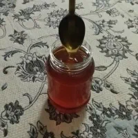 عسل گشنیز ( بهاره ) 100 درصد طبیعی|خوردنی و آشامیدنی|قم, مسجد امام حسن|دیوار