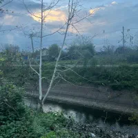 دو-پلاک-زمین-مسکونی-با-پروانه-ساخت