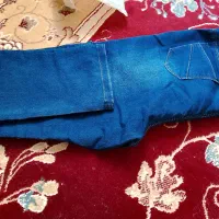 شلواربارداری