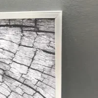 استخدام فوروشنده خانم بصورت تمام وقت