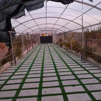 نصب وفروش چمن مصنوعی|عمدهفروشی|چهاردانگه (تهران), |دیوار