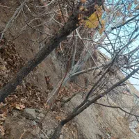 فروش یک من زمین