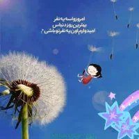 فروشنده خانم شیف صبح