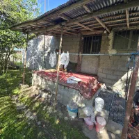 فروش-ویلا-قدیمی-بانسق-قدیمی-بازمین-500متری