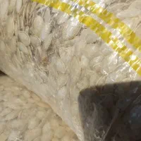 تخمه کدو|خوردنی و آشامیدنی|شیراز, ده پیاله|دیوار