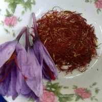 گل زعفران تازه شهریار|خوردنی و آشامیدنی|رباط‌کریم, کیکاور|دیوار