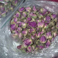برگ گل محمدی غنچه گل محمدی امساله  هر ۱۰۰ گرم ۳۰۰