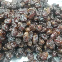 خرماگنتاروشکر