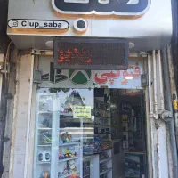 همکار ی در ویدئو کلوپ صبا