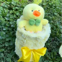 هدیه باکس دختر تولد دخترانه بوکت عروسک پاتریک|اسباببازی|گنبد کاووس, |دیوار