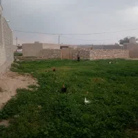 زمین-مسکونی