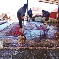 قالیشویی بانی.۴۰درصد تخفیف پاییزه